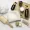 Skin Care Tools