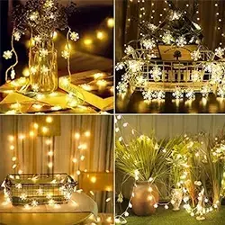 LED Lights And Fairy Lights